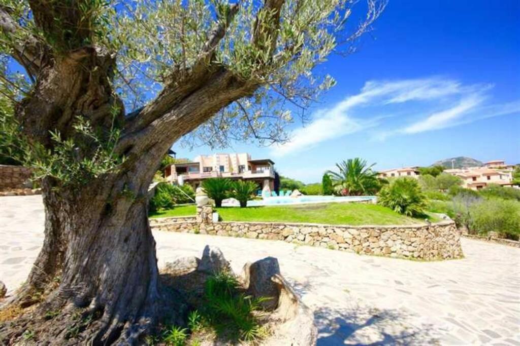 Villa And Pool Tavolara View Porto Istana Extérieur photo